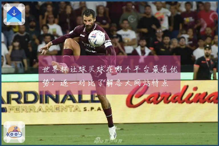 世界杯让球买球在哪个平台最有优势？逐一对比了解各大网站特点