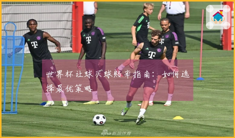 世界杯让球买球赔率指南：如何选择最优策略