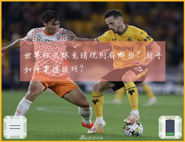 世界杯买球竞猜规则有哪些？新手如何掌握技巧？