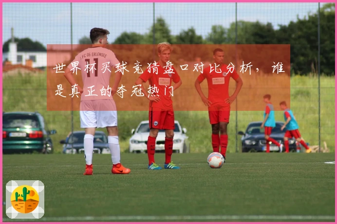 世界杯买球竞猜盘口对比分析，谁是真正的夺冠热门