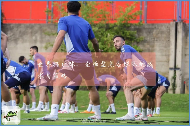 世界杯让球：全面盘点各球队的战术与策略