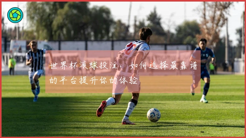世界杯滚球投注，如何选择最靠谱的平台提升你的体验