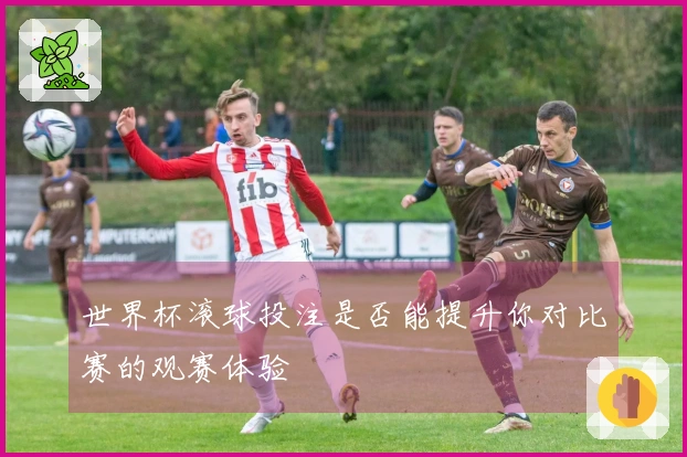 世界杯滚球投注是否能提升你对比赛的观赛体验