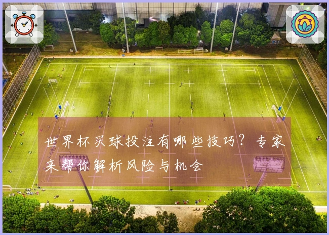 世界杯买球投注有哪些技巧？专家来帮你解析风险与机会