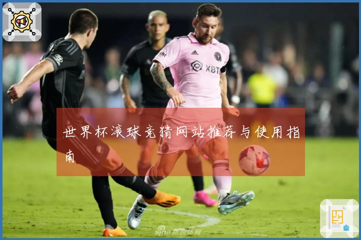 世界杯滚球竞猜网站推荐与使用指南