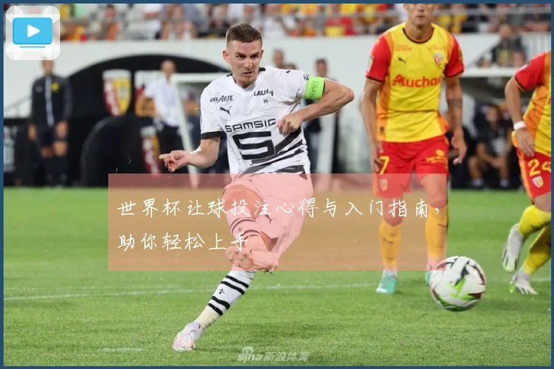 世界杯让球投注心得与入门指南，助你轻松上手