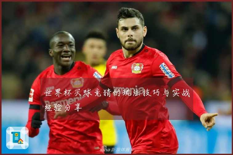 世界杯买球竞猜的玩法技巧与实战经验分享