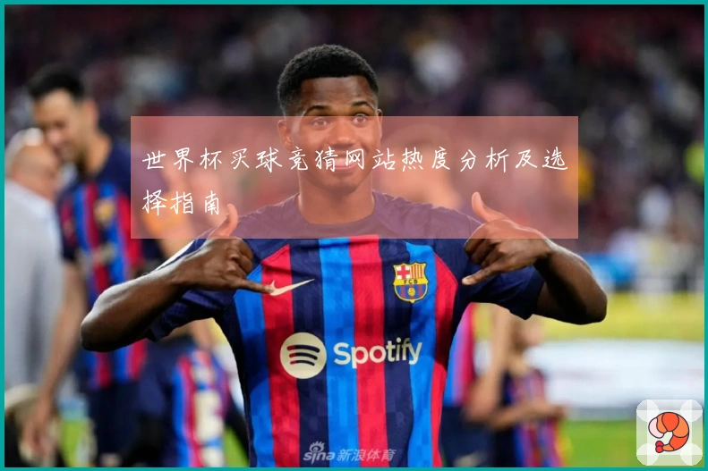 世界杯买球竞猜网站热度分析及选择指南