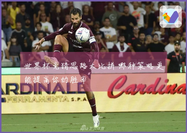 世界杯竞猜思路大比拼 哪种策略更能提高你的胜率