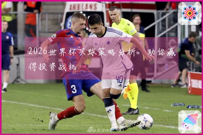 2026世界杯买球策略分析，助你赢得投资战机
