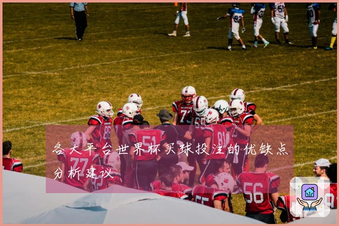 各大平台世界杯买球投注的优缺点分析建议