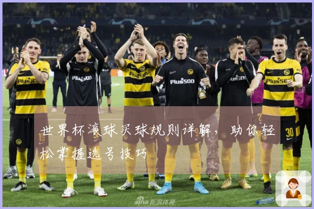 世界杯滚球买球规则详解，助你轻松掌握选号技巧