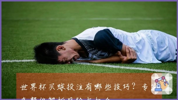 世界杯买球投注有哪些技巧？专家来帮你解析风险与机会