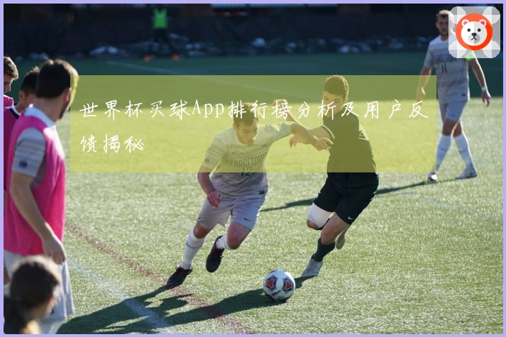 世界杯买球App排行榜分析及用户反馈揭秘
