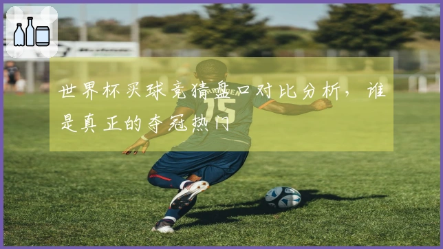 世界杯买球竞猜盘口对比分析，谁是真正的夺冠热门