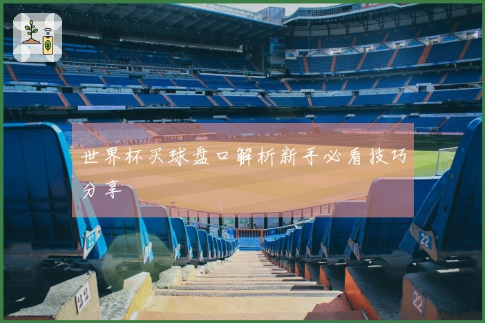 世界杯买球盘口解析新手必看技巧分享